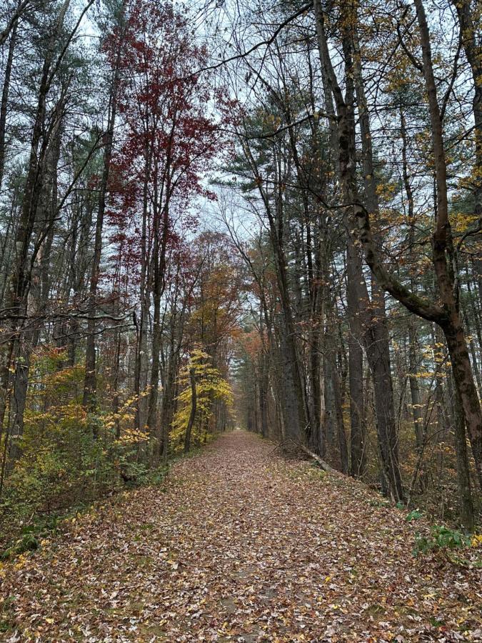 Escape To A Streamside Cabin In The Lower Catskills Wurtsboro ภายนอก รูปภาพ